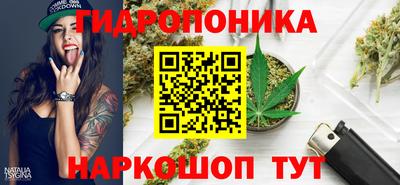 гидропоника Бугуруслан