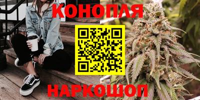 гидропоника Бугуруслан