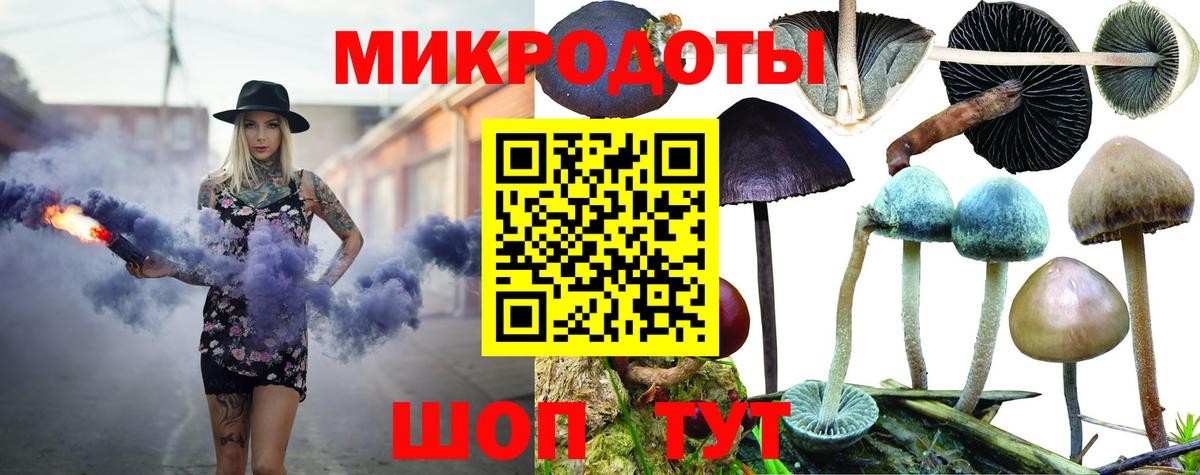 Галлюциногенные грибы Psilocybine cubensis  Вход с VPN  Луховицы 