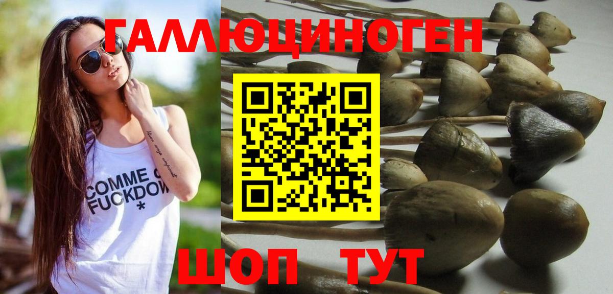 Псилоцибиновые грибы мицелий Луховицы